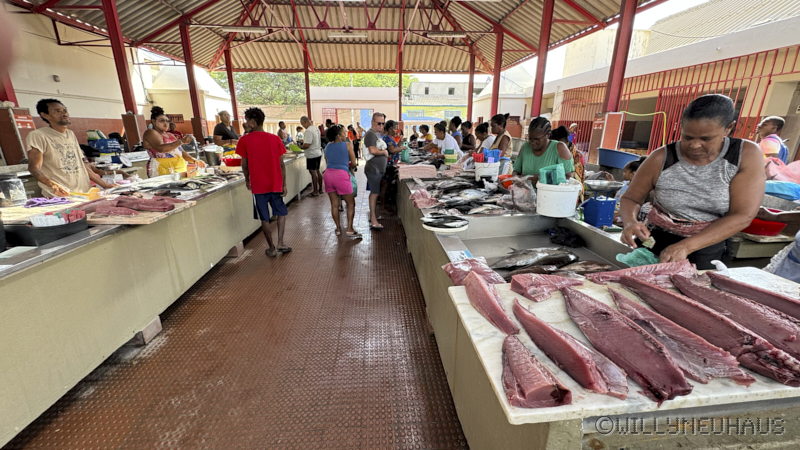 CruiseBarcelonaBuenosAires072