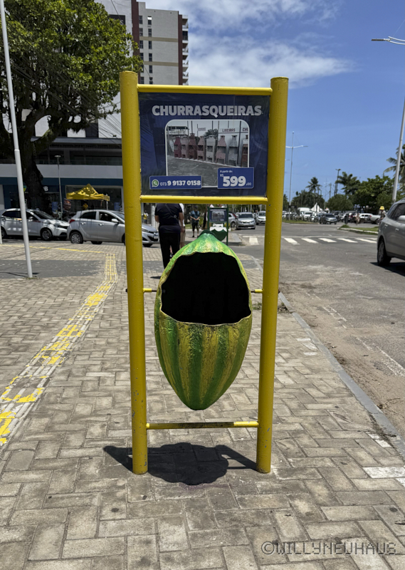 CruiseBarcelonaBuenosAires136