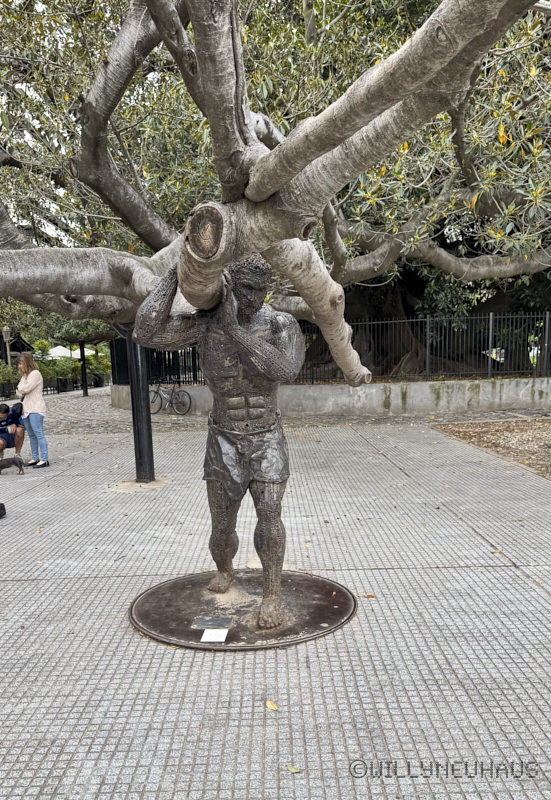 CruiseBarcelonaBuenosAires209