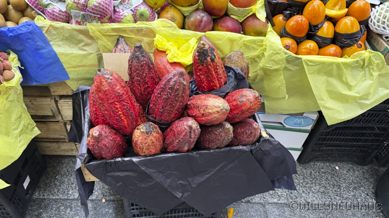 CruiseBarcelonaBuenosAires248