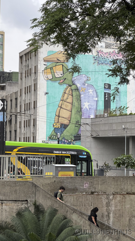 CruiseBarcelonaBuenosAires253