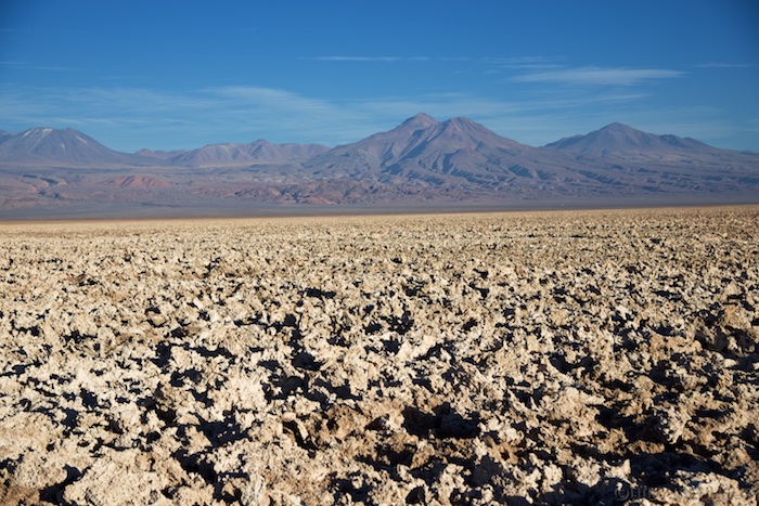 Atacama 14 14