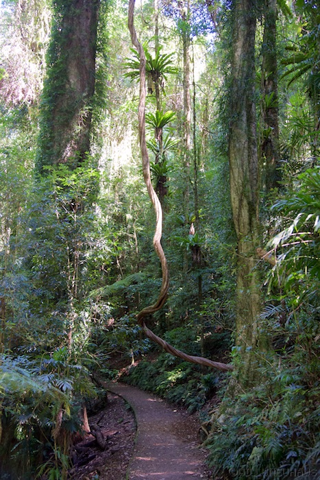 Australia east 14 128