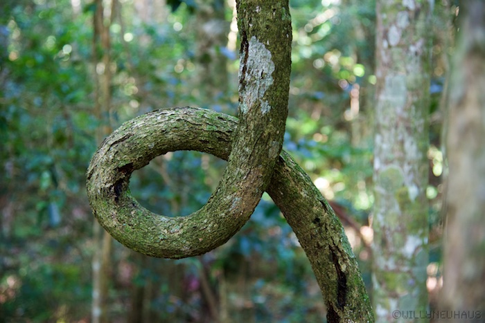 Australia east 14 140