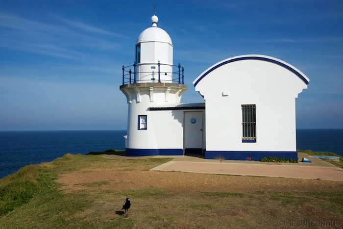 Australia east 14 142