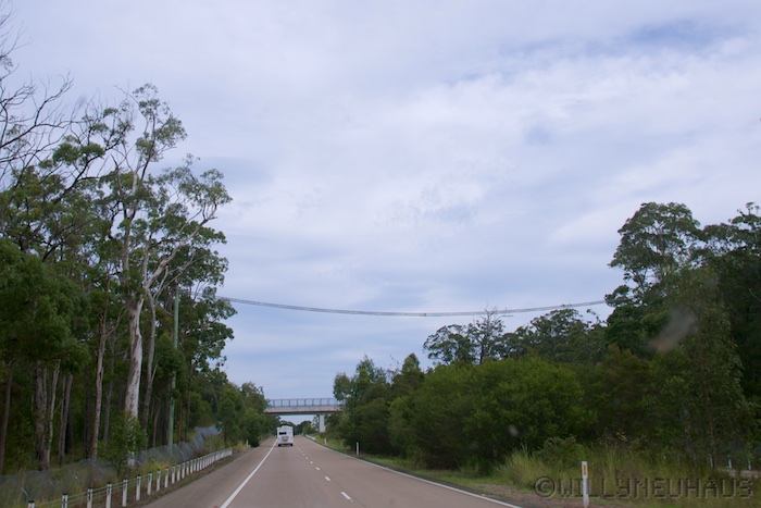 Australia east 14 146