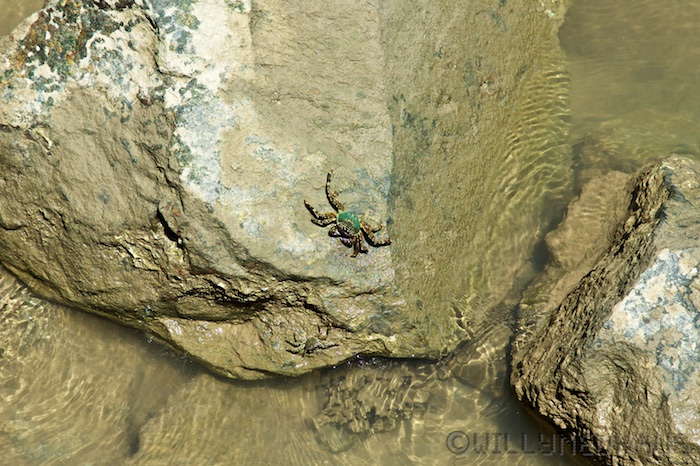 Australia east 14 28