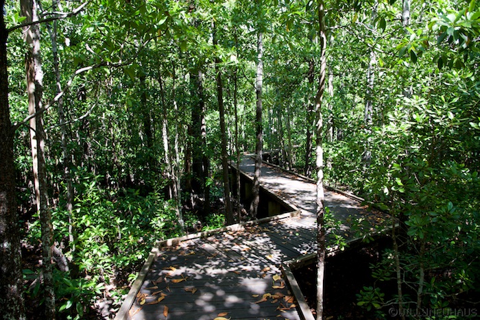 Australia east 14 71