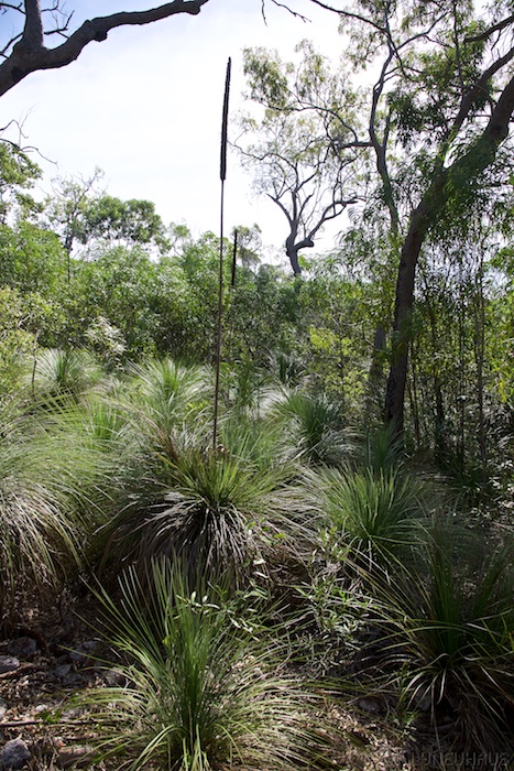 Australia east 14 73