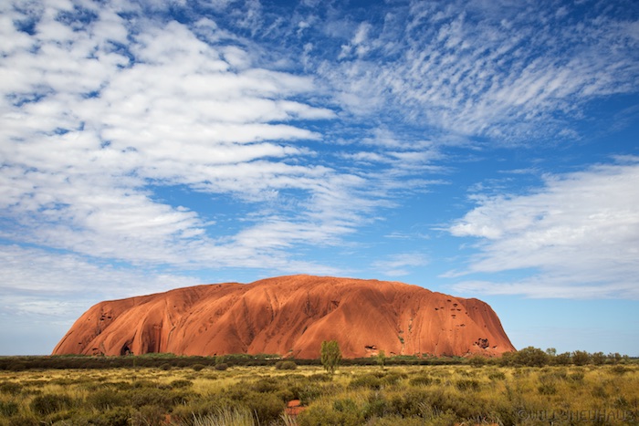 Australia south 14 125