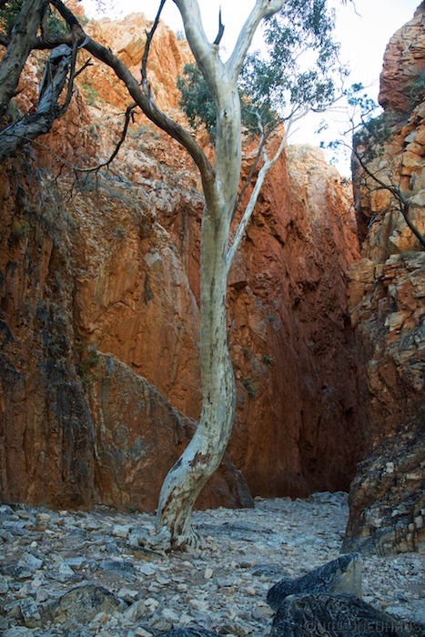 Australia south 14 159