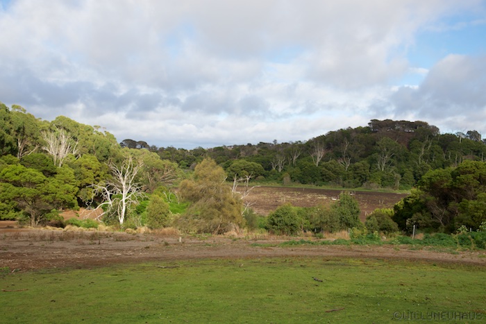 Australia south 14 97