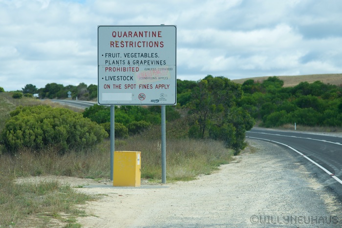 Australia south 14 99