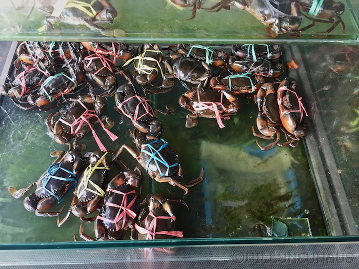 Bali 14 5