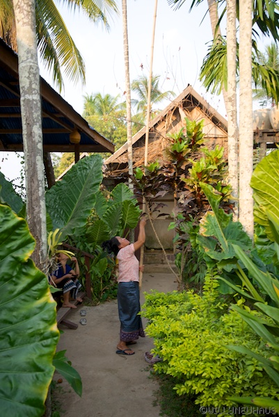 Laos 13 139