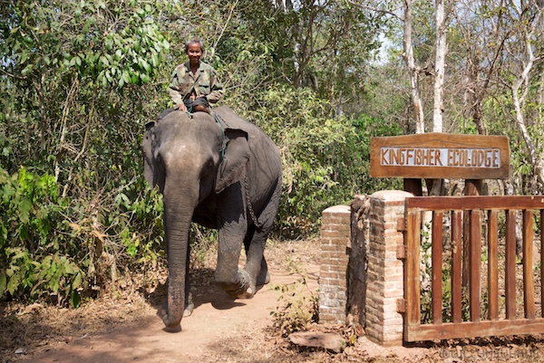 Laos 13 166