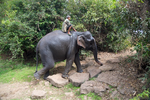 Laos 13 168