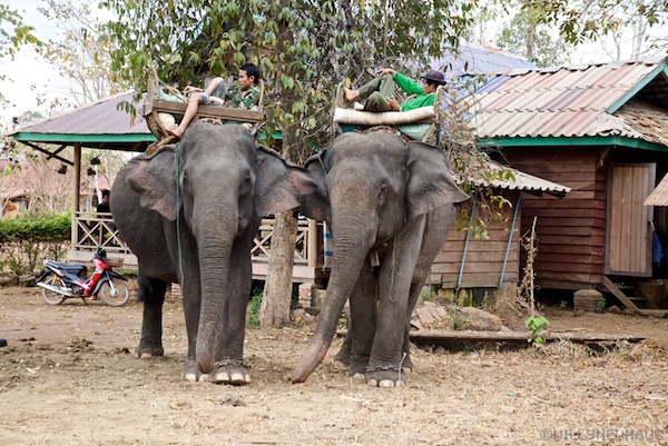 Laos 13 171