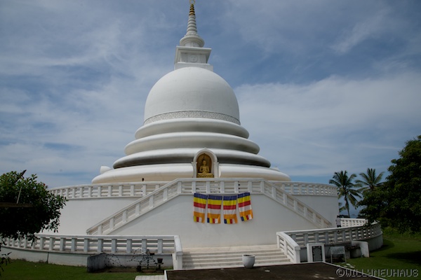 Sri Lanka 12 117
