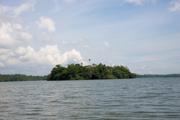 Sri Lanka 12 120