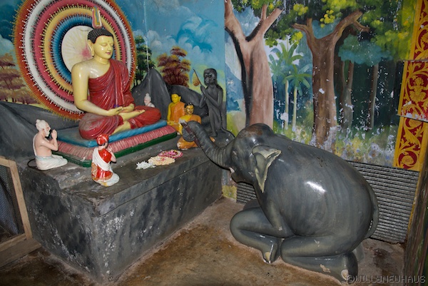 Sri Lanka 12 126