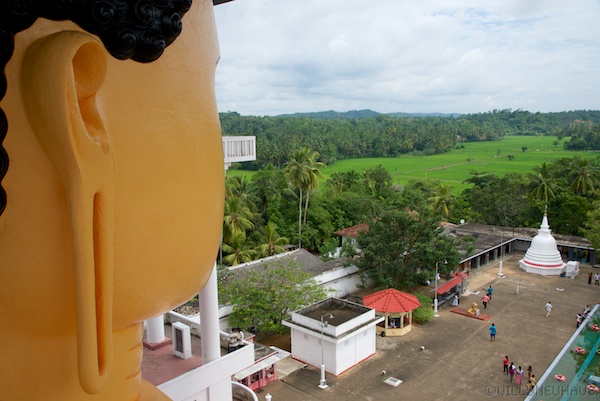 Sri Lanka 12 128