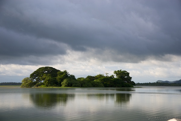 Sri Lanka 12 143