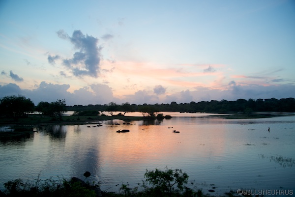 Sri Lanka 12 145