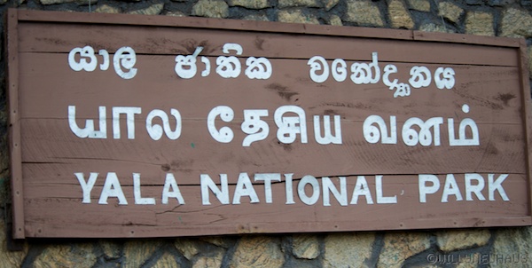 Sri Lanka 12 146