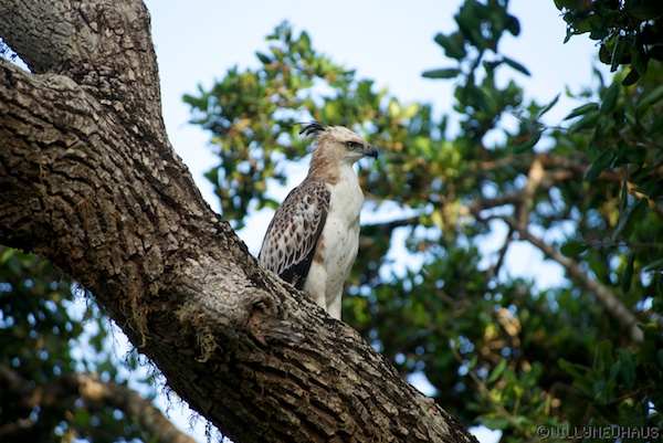 Sri Lanka 12 149