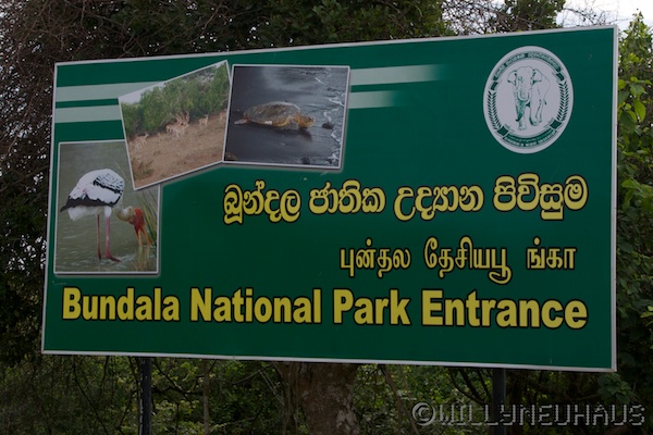 Sri Lanka 12 179