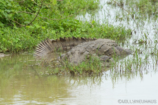 Sri Lanka 12 181