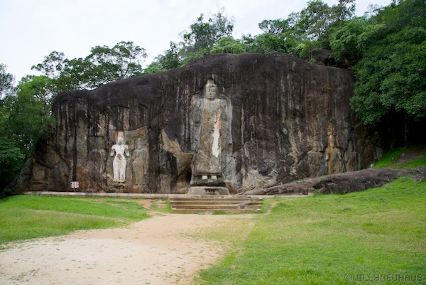 Sri Lanka 12 185