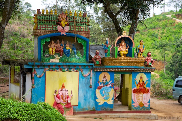 Sri Lanka 12 204
