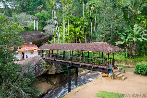 Sri Lanka 12 209