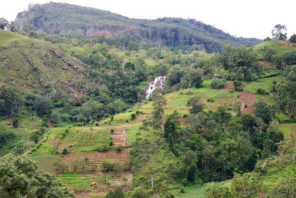 Sri Lanka 12 219