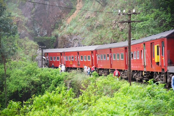 Sri Lanka 12 223