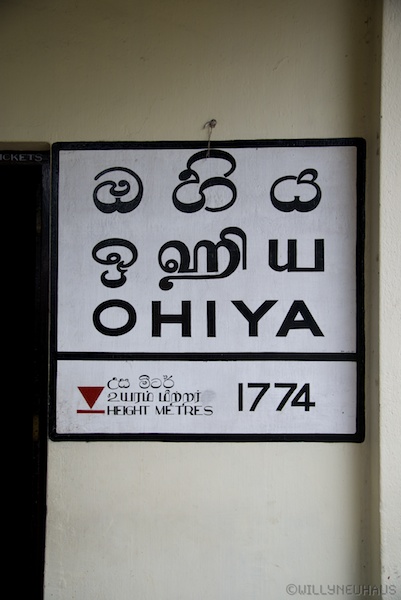 Sri Lanka 12 226