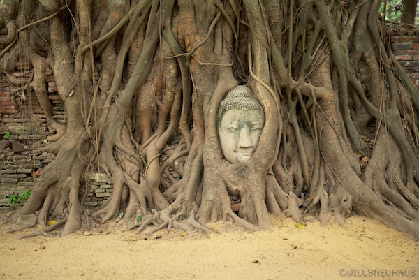 Thailand 13 012