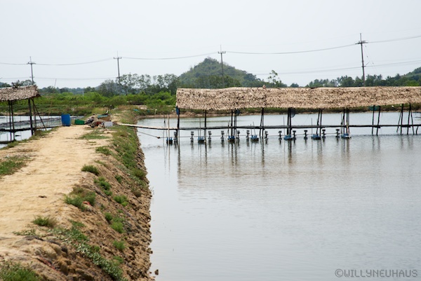 Thailand 13 044