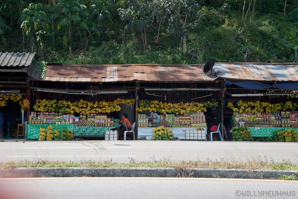 Thailand 13 066