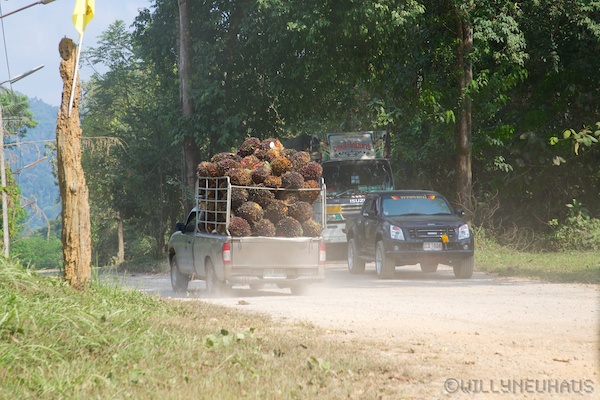 Thailand 13 068