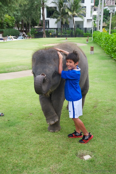 Thailand 13 083
